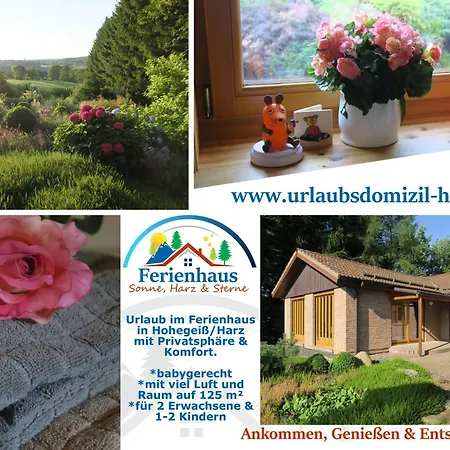 Ferienhaus-sonne-harz-sterne Holiday home *